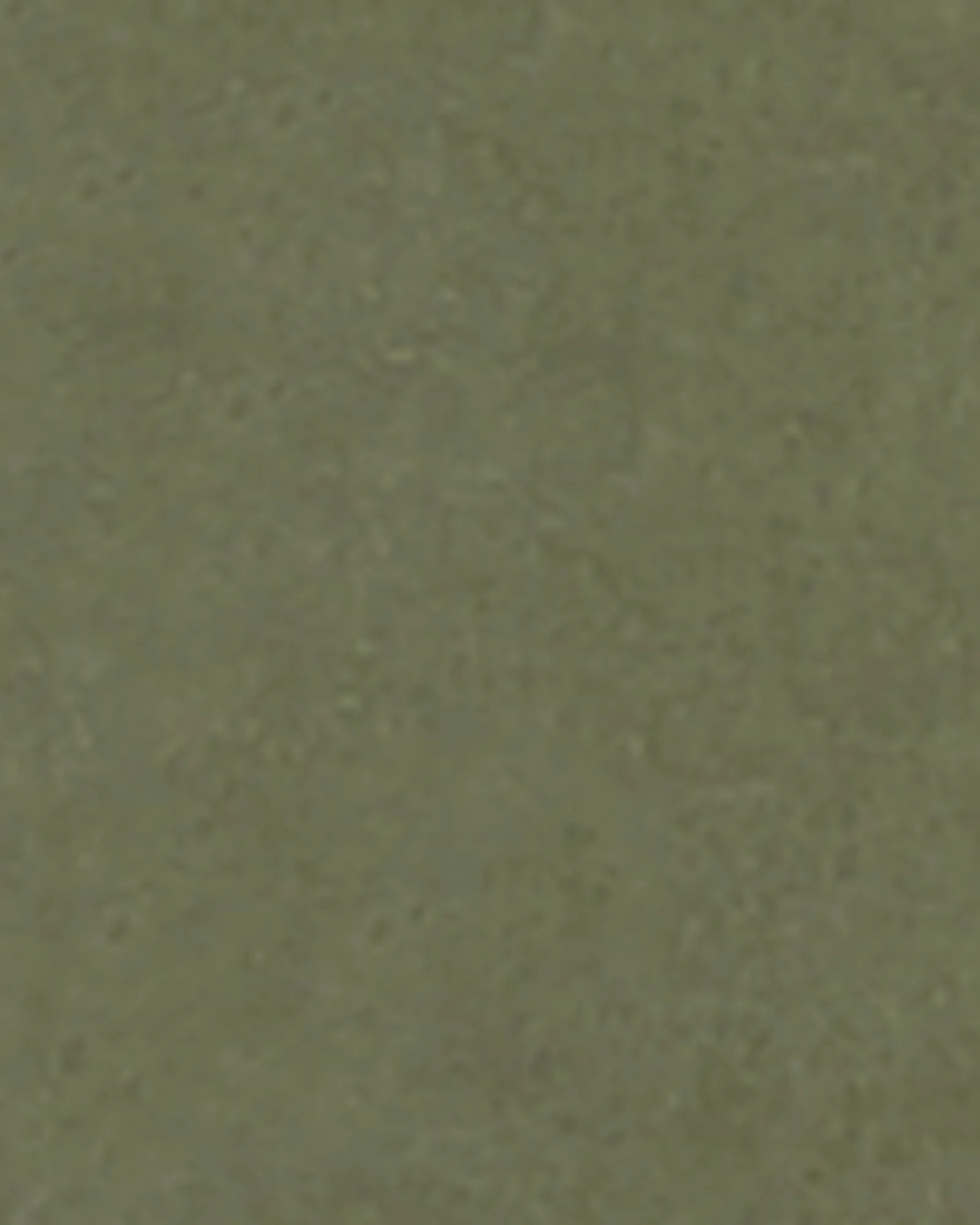 Tara Pant | Olive Green